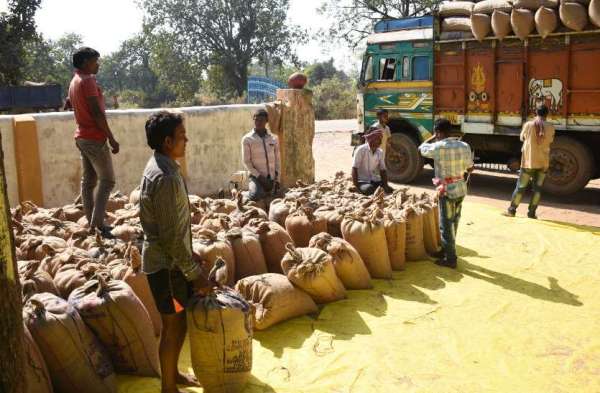 मिलरो ने आज से शुरू किया बंपर उठाव
