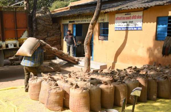 मिलरो ने आज से शुरू किया बंपर उठाव