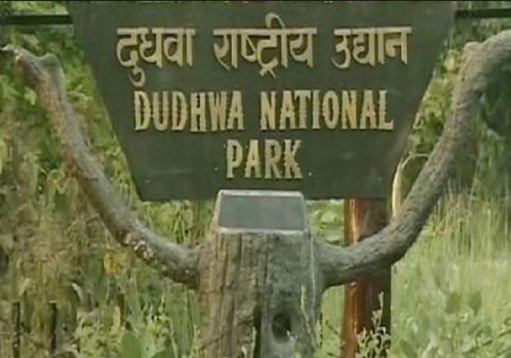 dudhwa national park