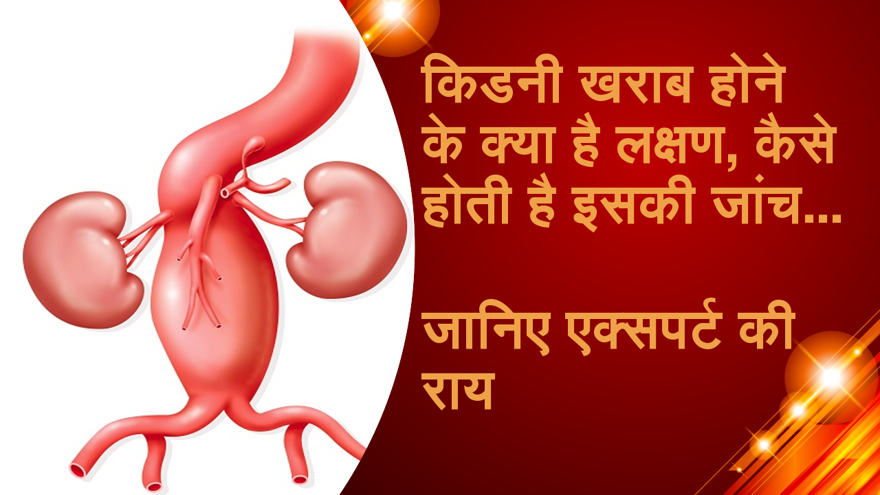 किडनी खराब होने के क्या है लक्षण, कैसे होती है इसकी जांच, जानिए एक्सपर्ट की राय