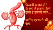 kidney