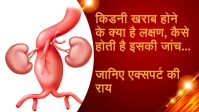 kidney