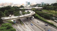 Thane Municipal will lay a trap for the roads
