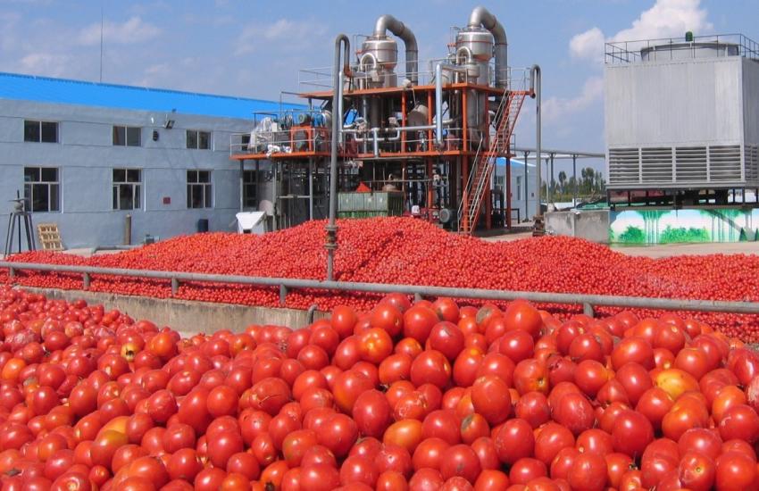 Tomato Sauce Manufacturing Unit