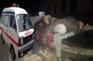 108 Ambulance