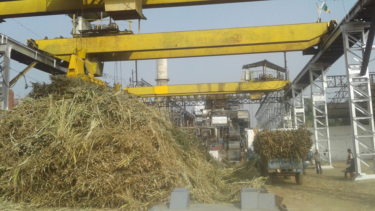 big politics in sugar cane purchasing in narsinghpur