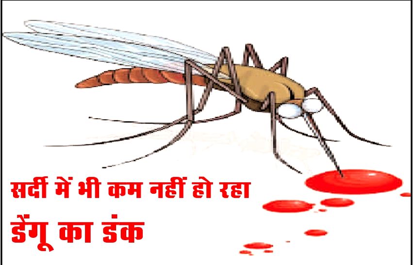 डेंगू के डंक से एक ही दिन में एक दर्जन पहुंचे अस्पताल….
