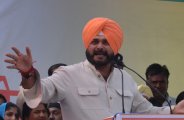 navjot