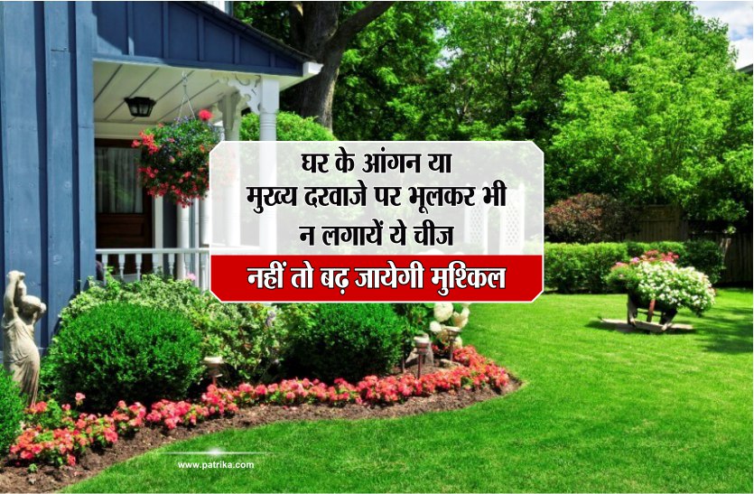 ghar me mani plant