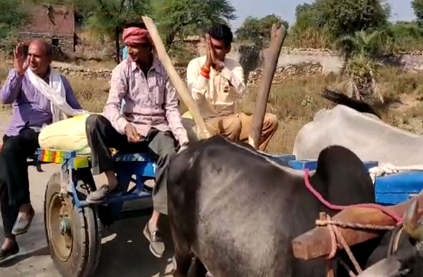 rajasthan news