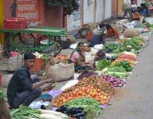 jaipur