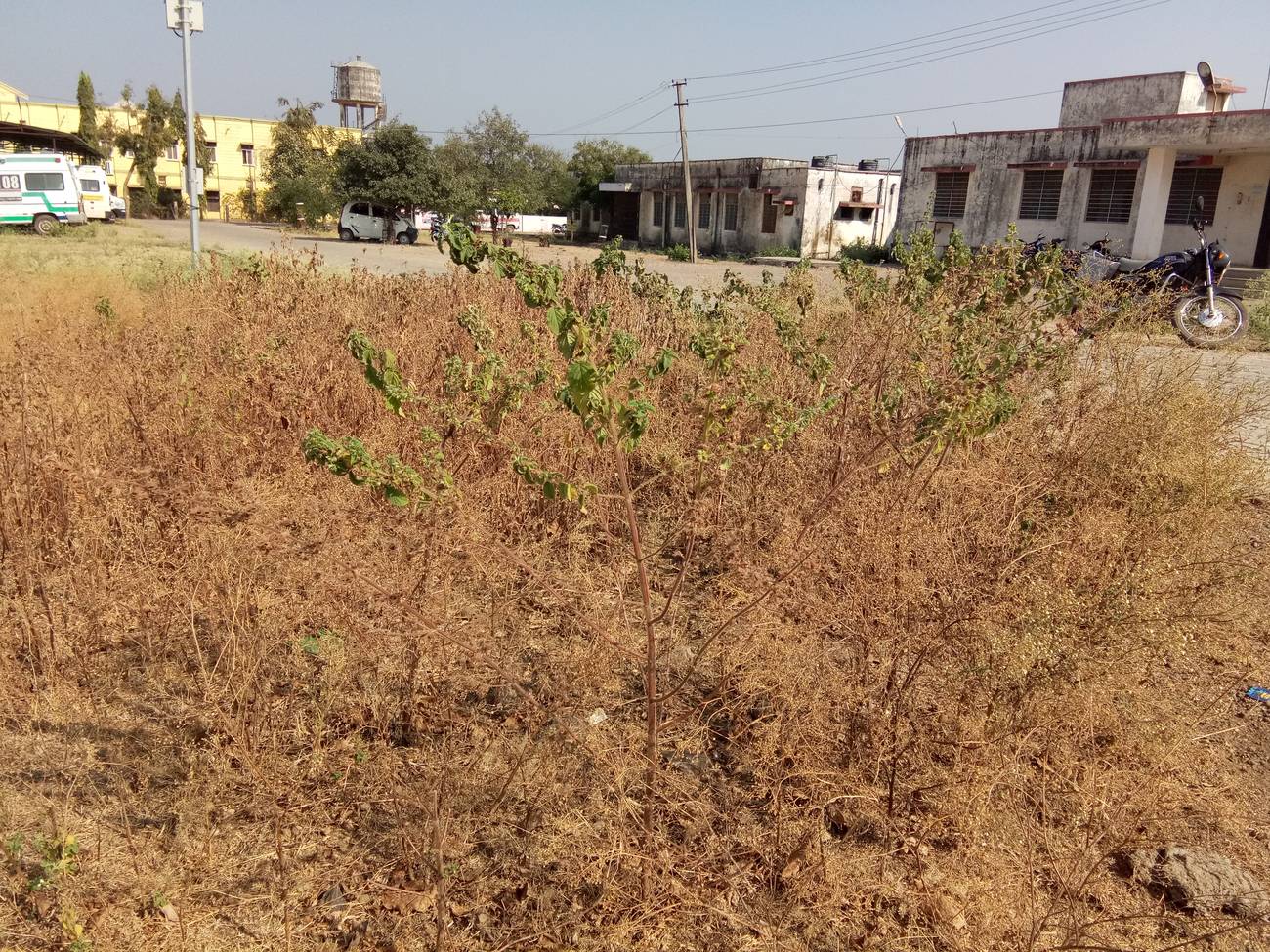 pratapgarh