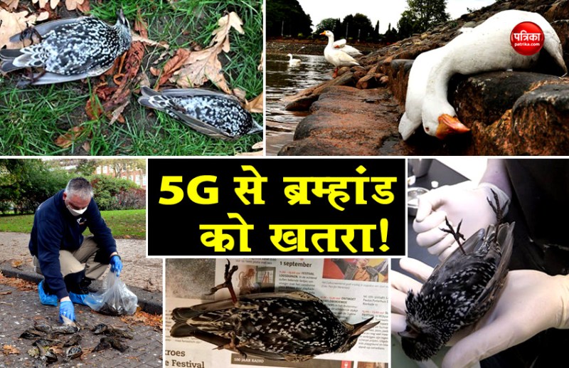 5G testing in Netherland