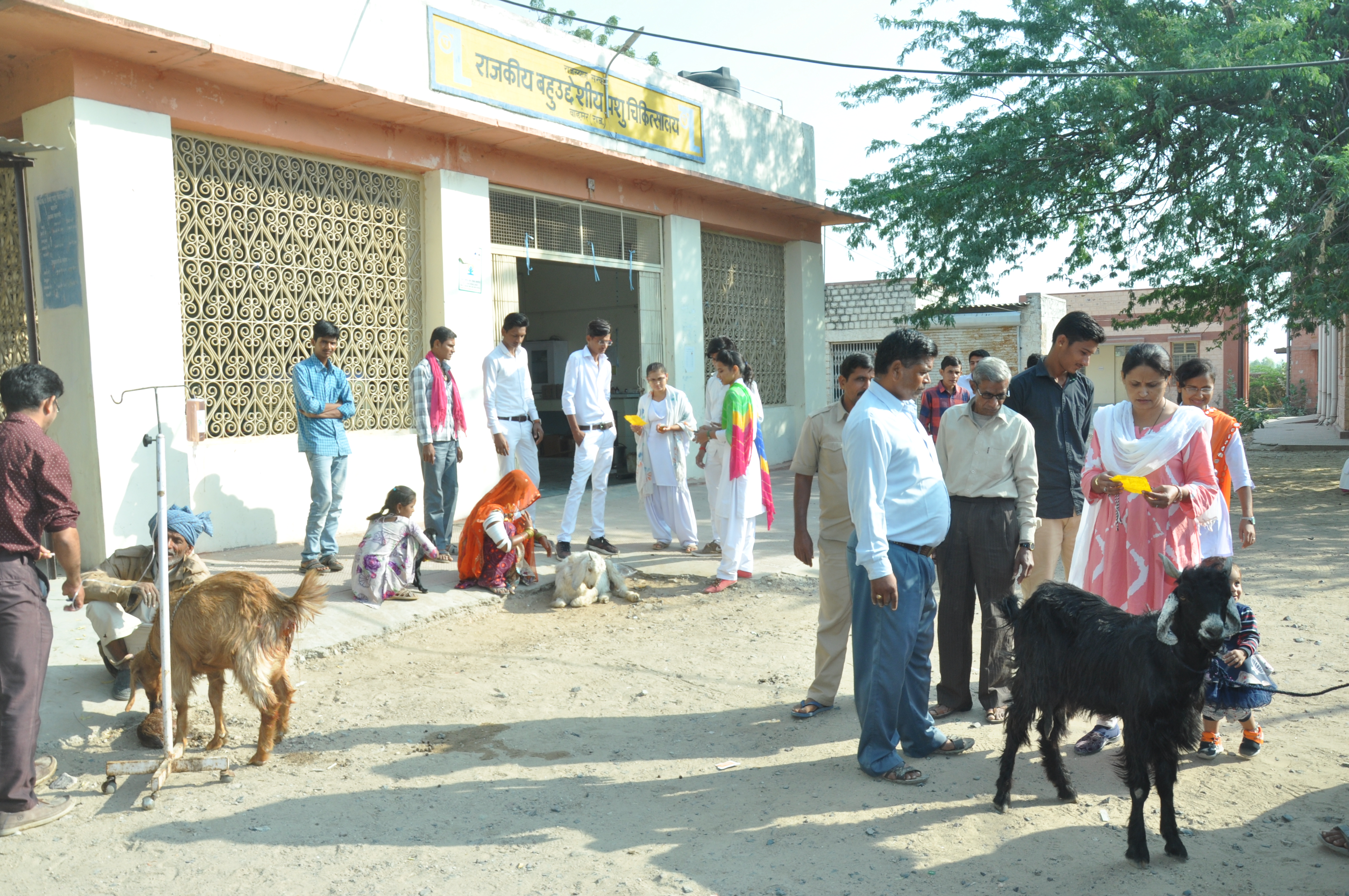 Animal Husbandry Will Be Disturbed