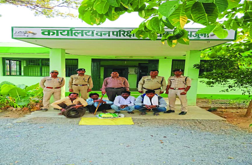 forest department officers 