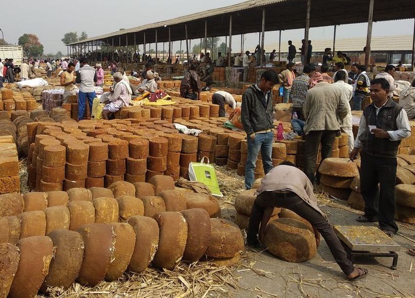 Farmer kept jaggery in the open