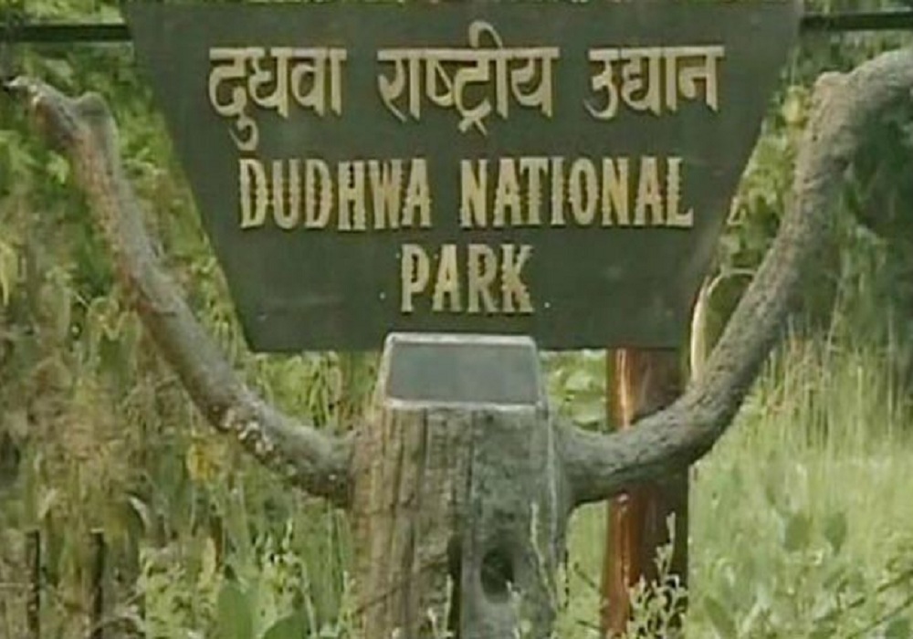 dudhwa national park