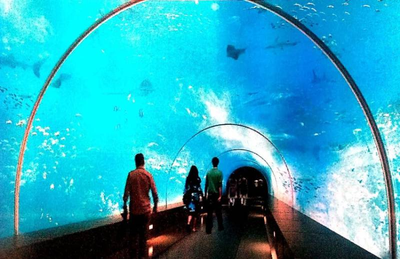 Gujarat science city