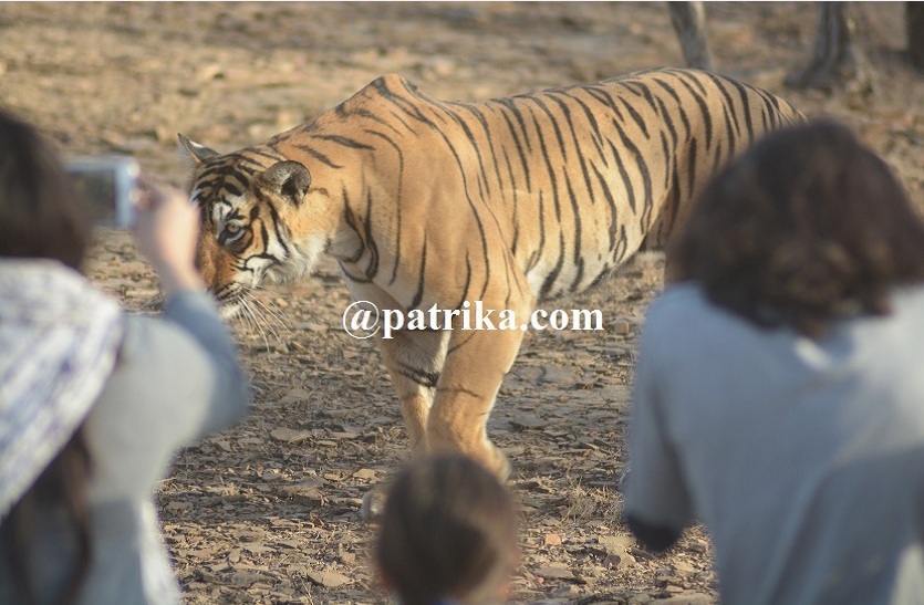 sawaimadhopur