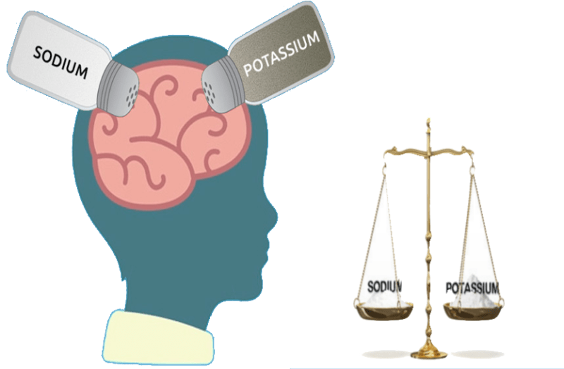 balance-of-sodium-potassium-in-the-body
