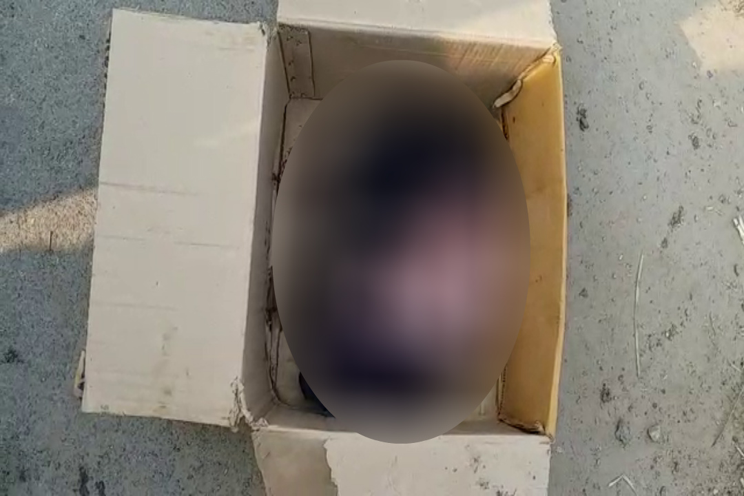 New Born baby Dead Body Found in Carton