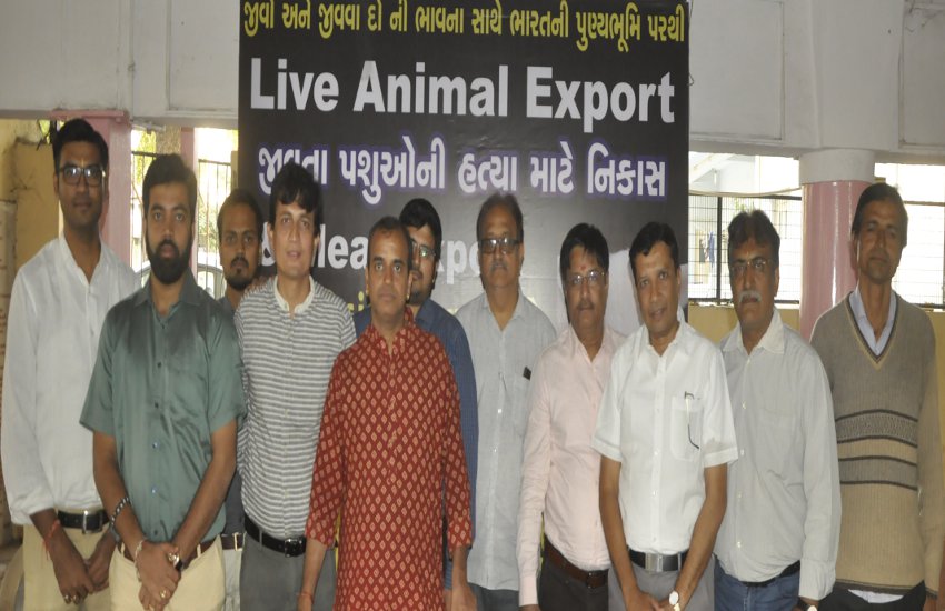 Stopping ban on export of animal and meat  