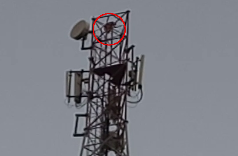 girl climbed up to mobile tower in Dholpur due to love affair