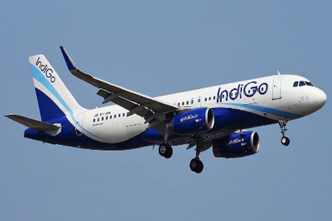 Indigo Flight Service