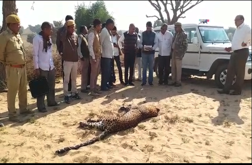 पैंथर ने किसानों पर किया हमला