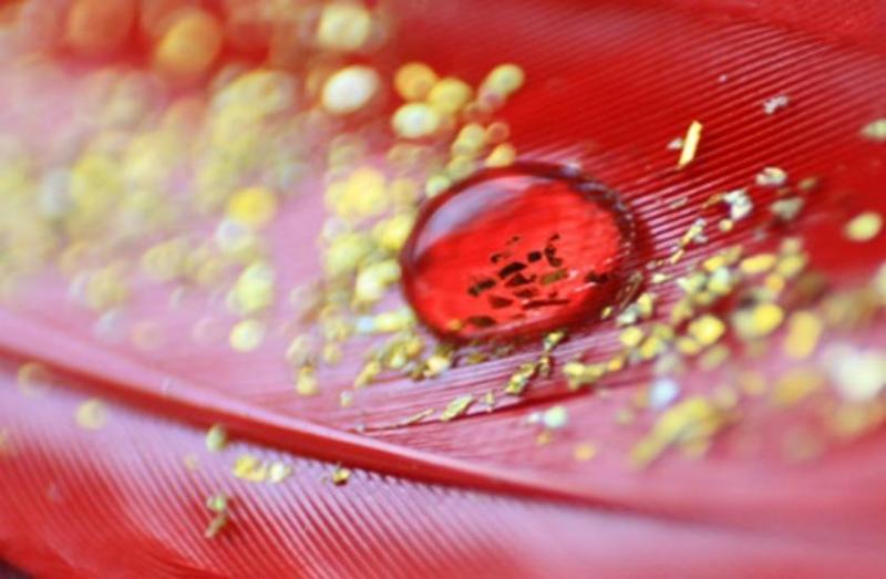 rare blood group rh null the golden blood