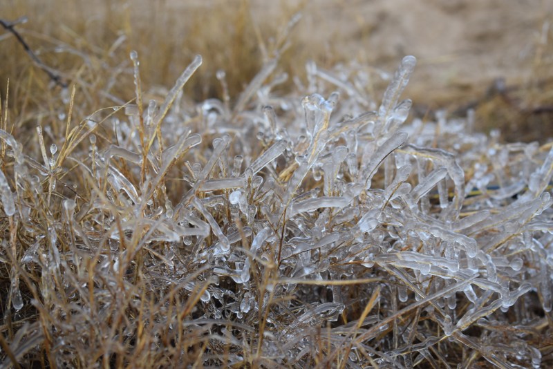 Cold winds on mercury