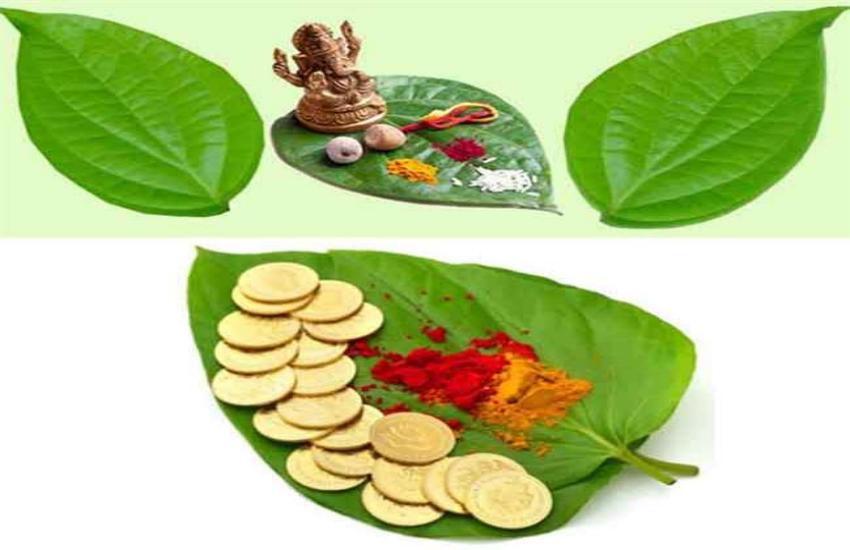 paan ke patte ke totke