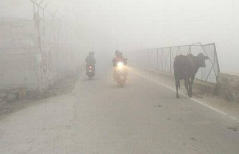 Amarkantak grip in fog temperature reached 0 degrees