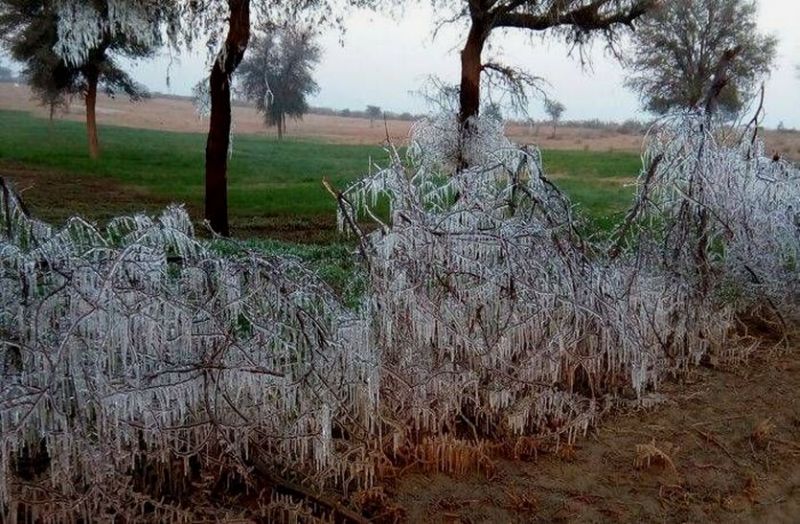 sikar weather latest update