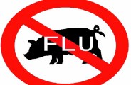 In AlamSaria 6-year-olds to swine flu