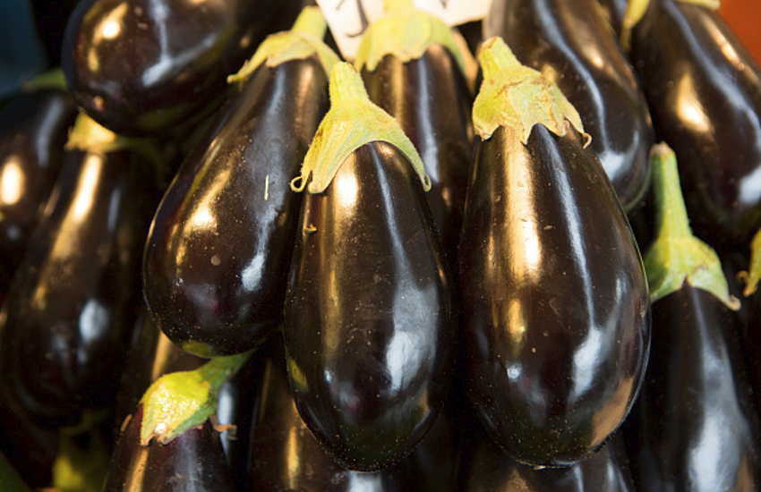 brinjal benefits