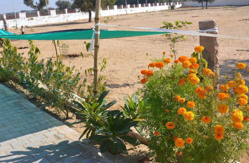 churu school gardan news