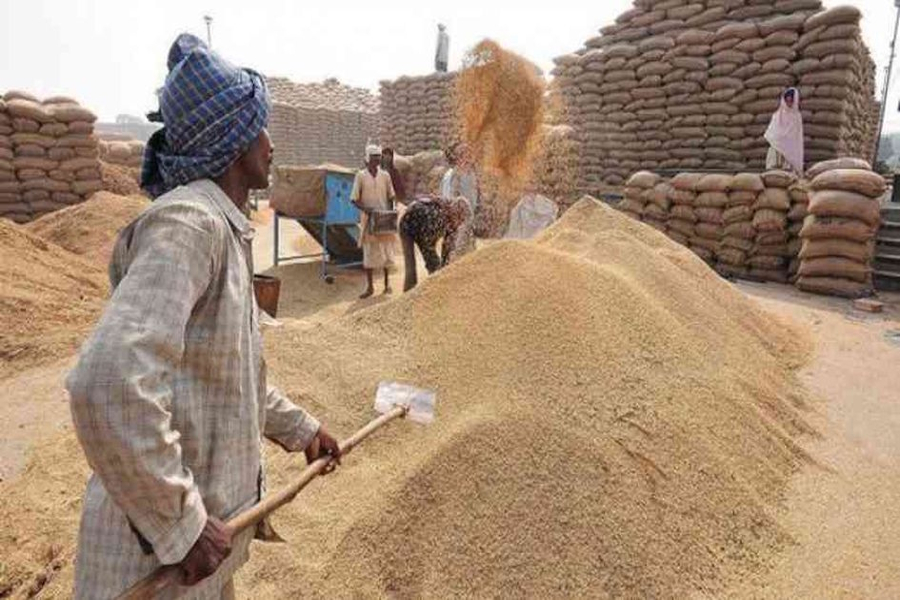 ration shops in jodhpur