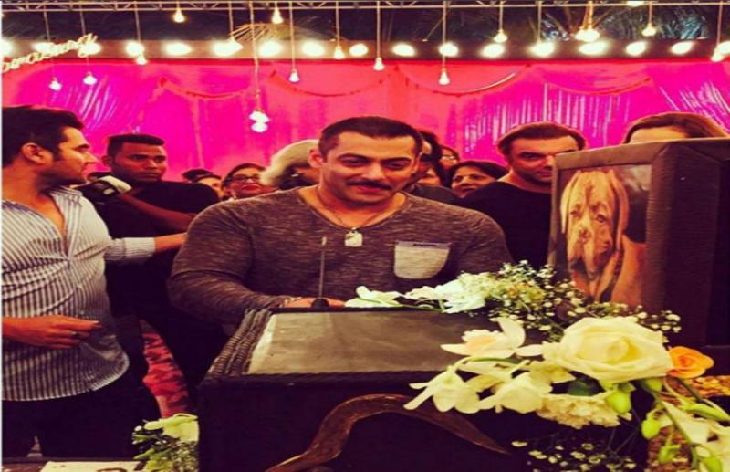 Salman Khan birthday