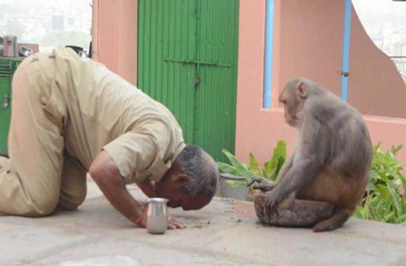 बजरंगगढ़ का हनुमान मंदिर