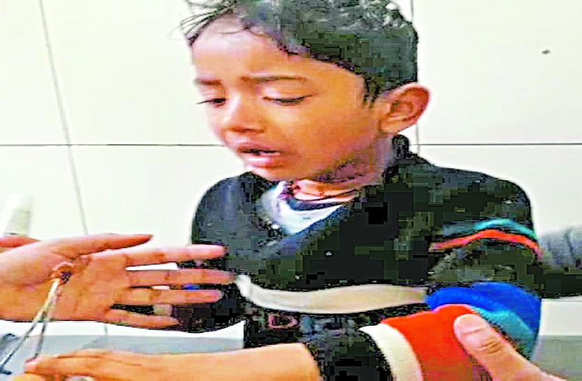 sikar exident news