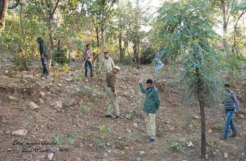 ट्रेकिंग करता वन विभाग का अमला।