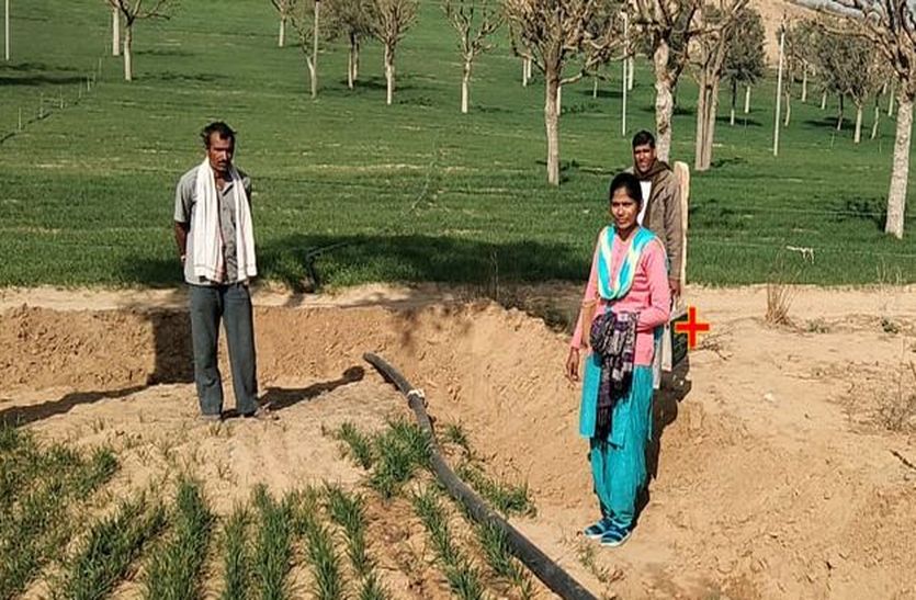 churu farms house news