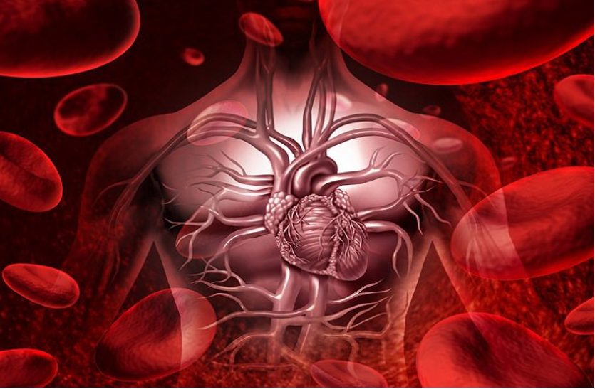 blood-circulation-may-occur-dangerous