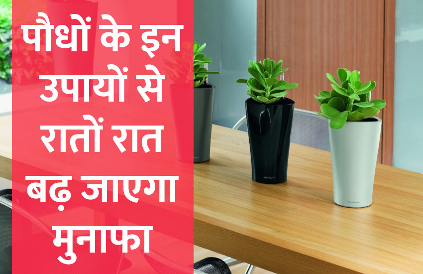 Management Mantra,office etiquettes,office tips in hindi,motivational story in hindi,business tips in hindi,