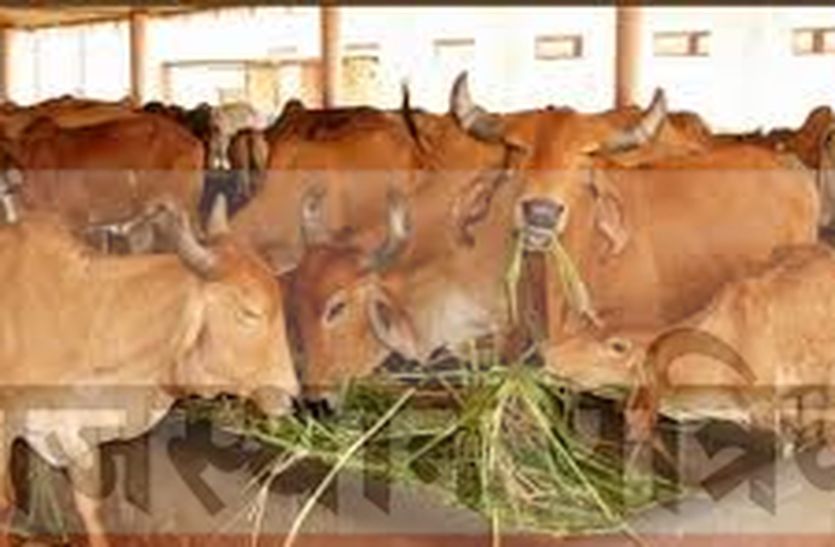 sirohi