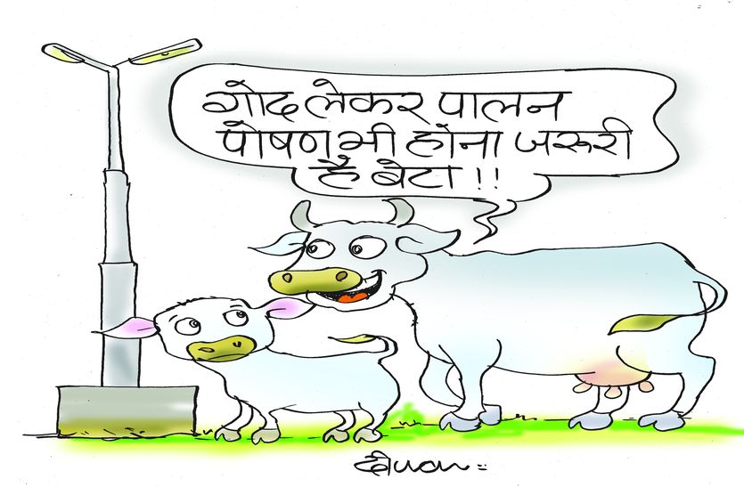 govans adopt, get respect goverment