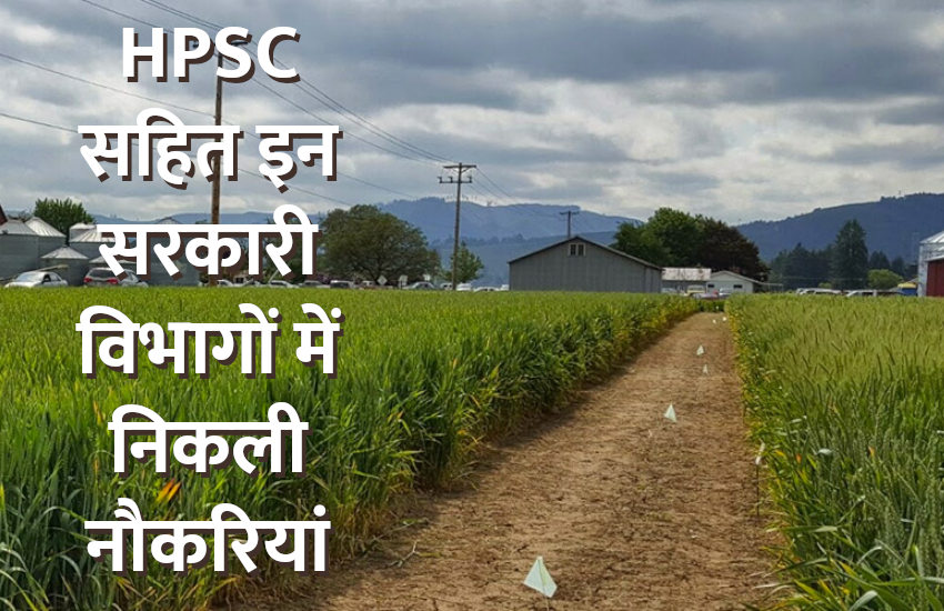 UPSC,government jobs,UPSC exam,Govt Jobs,Sarkari Naukri,gail,sarkari jobs,employment news,sarkari naukari,rojgar samachar,employment news in hindi,rojgar samachar in hindi,latest government jobs,jobs in hindi,latest jobs news,latest government job,career in agriculture,UPSC Jobs,sarkari job,sarkari naukri search,upsc vacancy,Sarkari Naukari 2019,govt jobs 2019,10th pass govt jobs 2019,सरकारी नौकरी 2019,upsc jobs in hindi,career in horticulture,