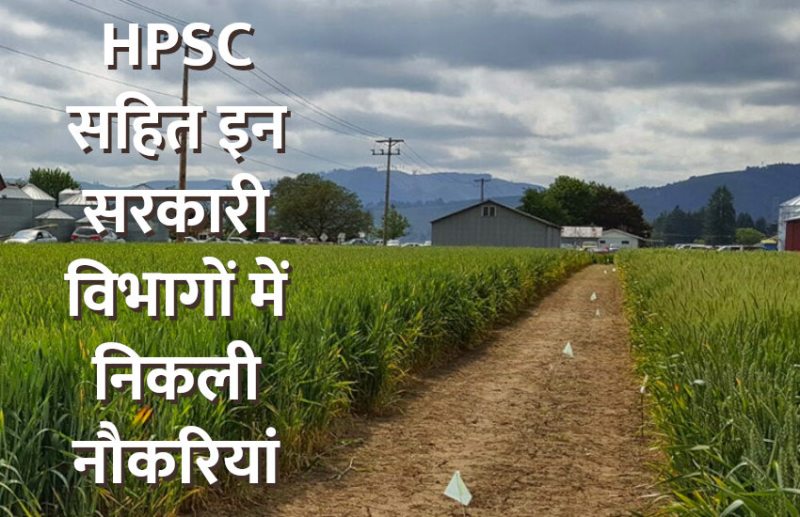 UPSC,government jobs,UPSC exam,Govt Jobs,Sarkari Naukri,gail,sarkari jobs,employment news,sarkari naukari,rojgar samachar,employment news in hindi,rojgar samachar in hindi,latest government jobs,jobs in hindi,latest jobs news,latest government job,career in agriculture,UPSC Jobs,sarkari job,sarkari naukri search,upsc vacancy,Sarkari Naukari 2019,govt jobs 2019,10th pass govt jobs 2019,सरकारी नौकरी 2019,upsc jobs in hindi,career in horticulture,