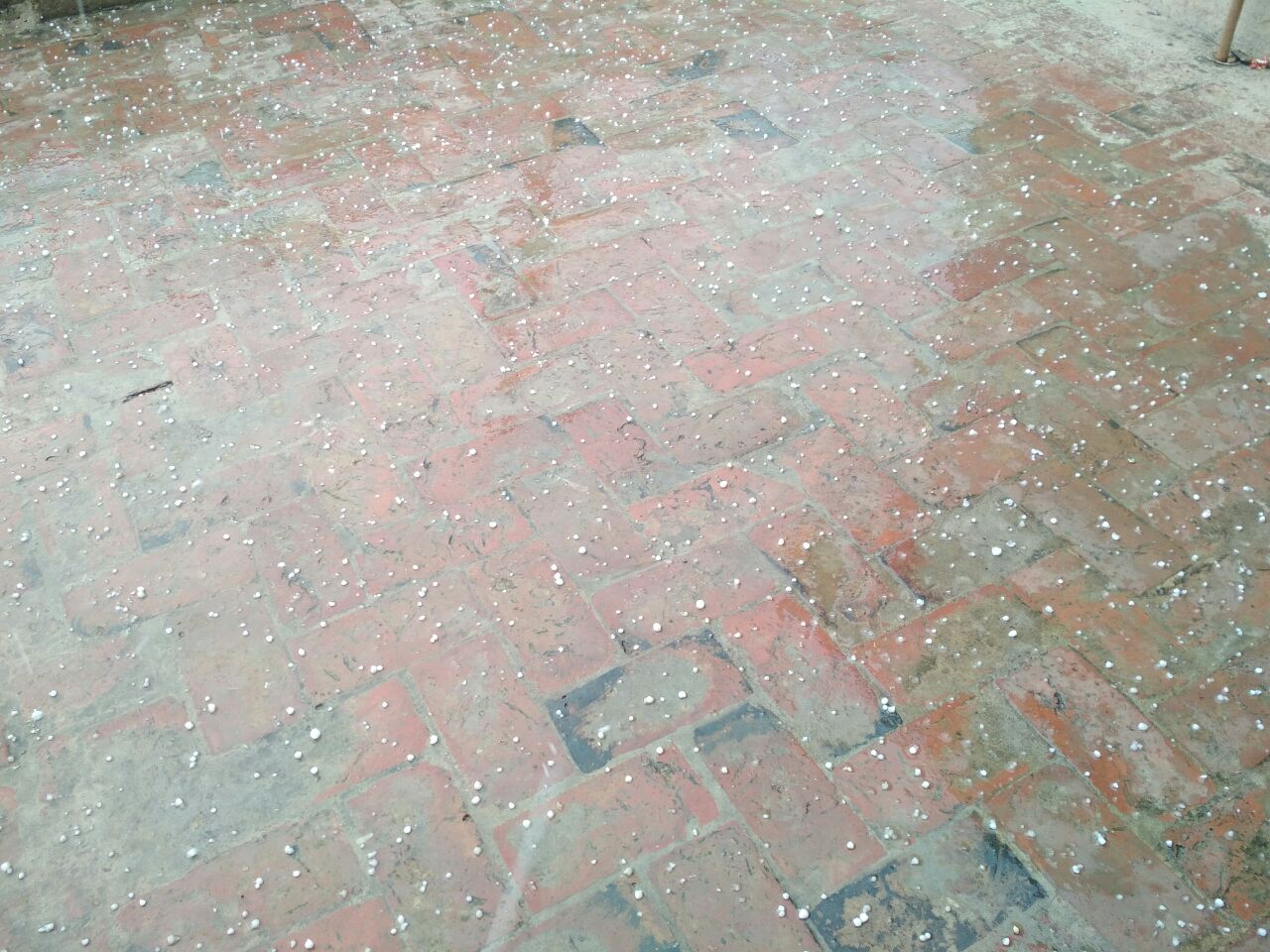 weather